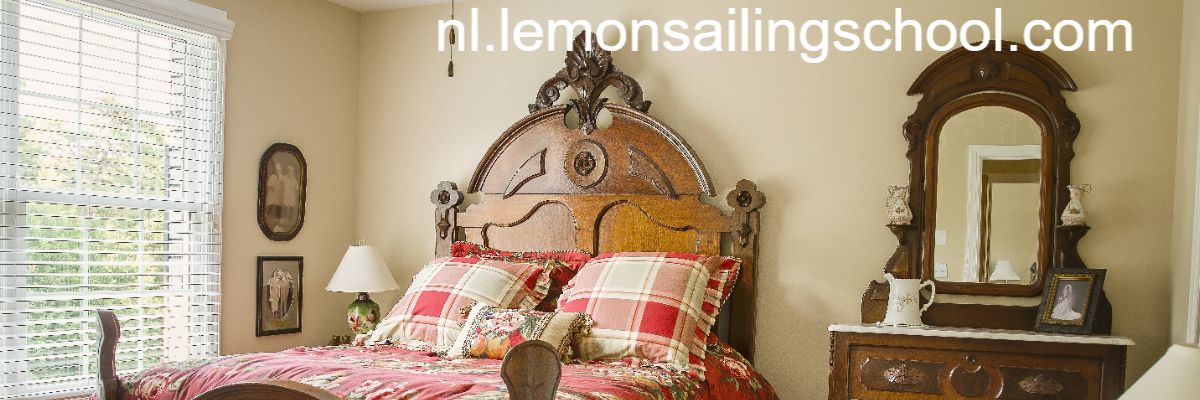 nl.lemonsailingschool.com